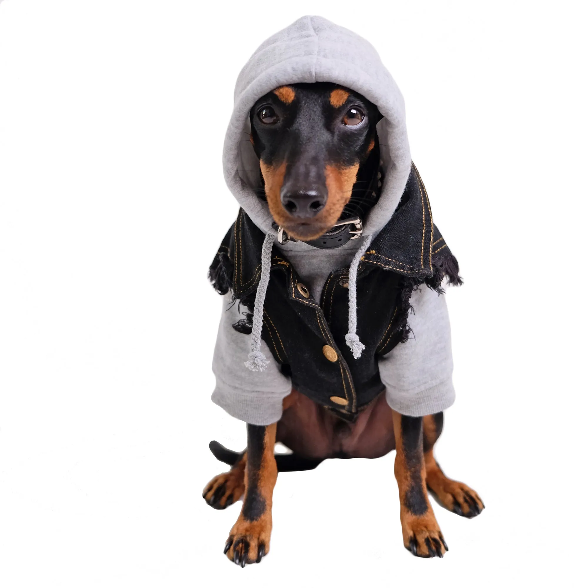 Denim dog vest   Dog Band Hoodie Set