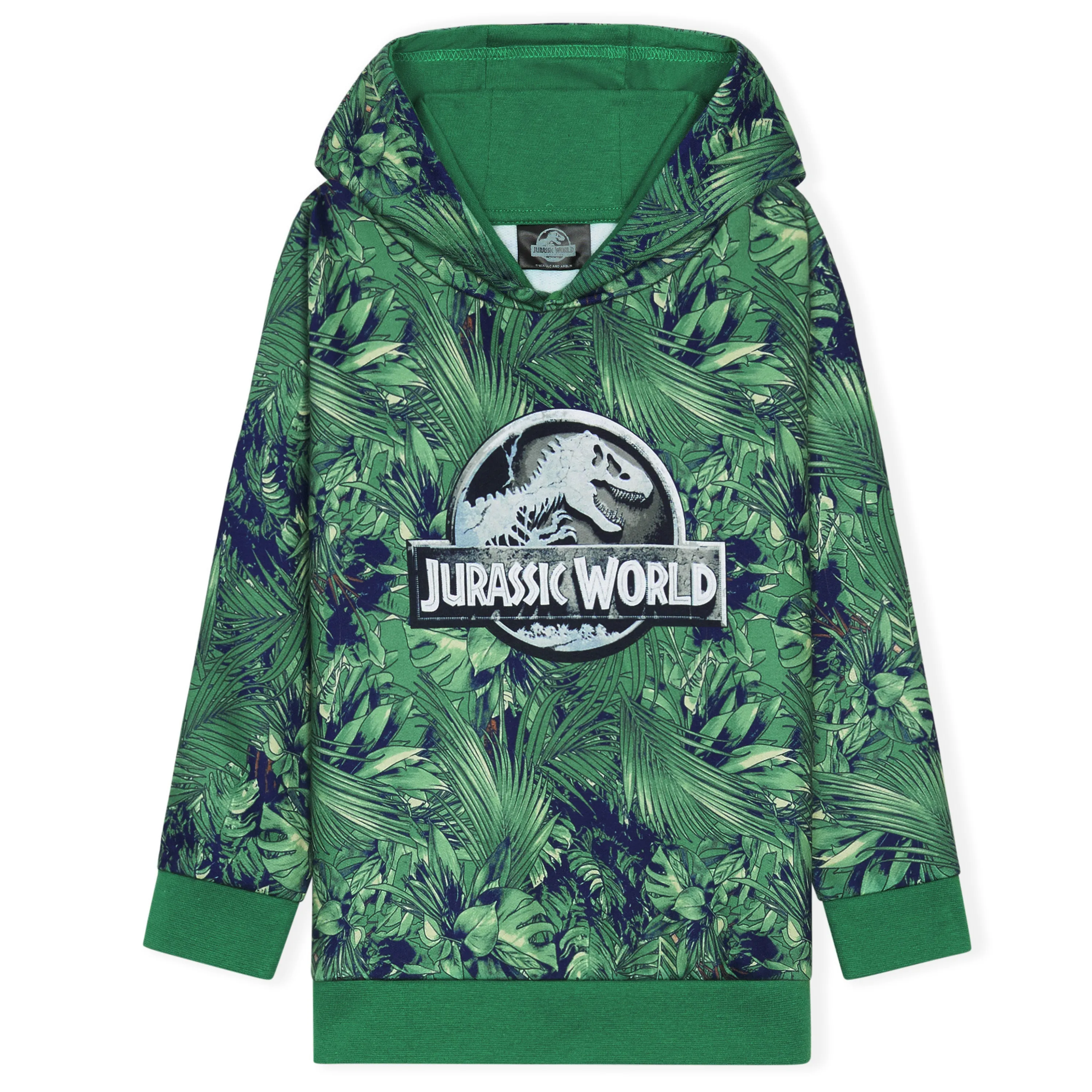 Jurassic World Boys Hoodies Dinosaur Hoodie Kids Teens